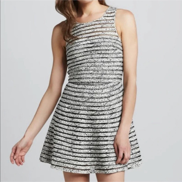 Parker Mesh Ribbed Fit and Flare Silk Lined Mini Dress White Black Size XS - Picture 1 of 9